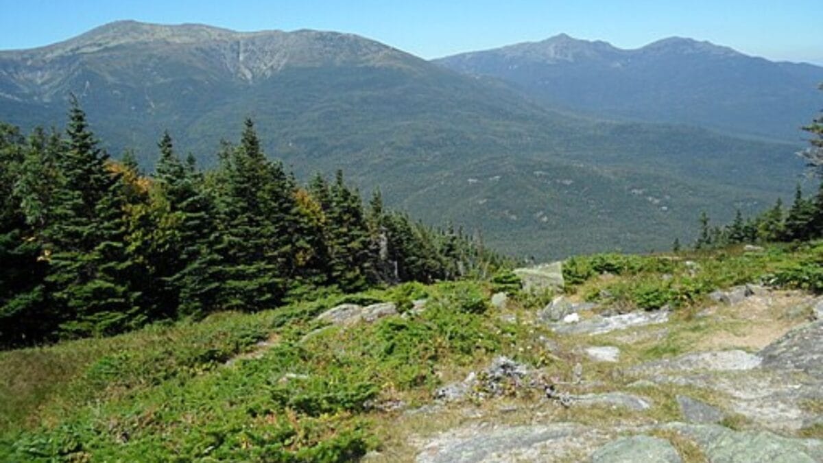 35 Dog Walking Trails That Prove USA Is a Dog's Paradise 21 35 Dog Walking Trails That Prove USA Is a Dog's Paradise - appalachian trail wc 1