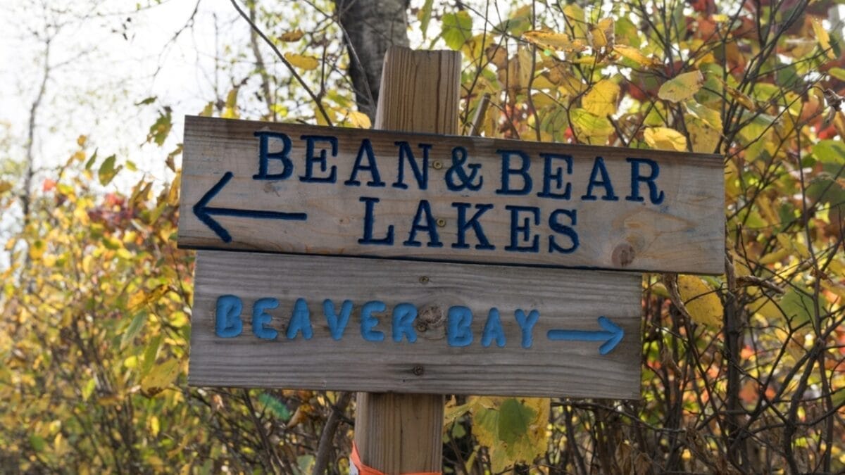 35 Dog Walking Trails That Prove USA Is a Dog's Paradise 3 35 Dog Walking Trails That Prove USA Is a Dog's Paradise - bean and bear lakes minnesota ss2053980068