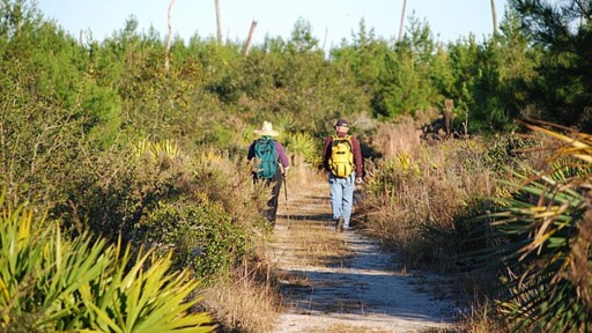 35 Dog Walking Trails That Prove USA Is a Dog's Paradise 11 35 Dog Walking Trails That Prove USA Is a Dog's Paradise - black bear wilderness area trail wc