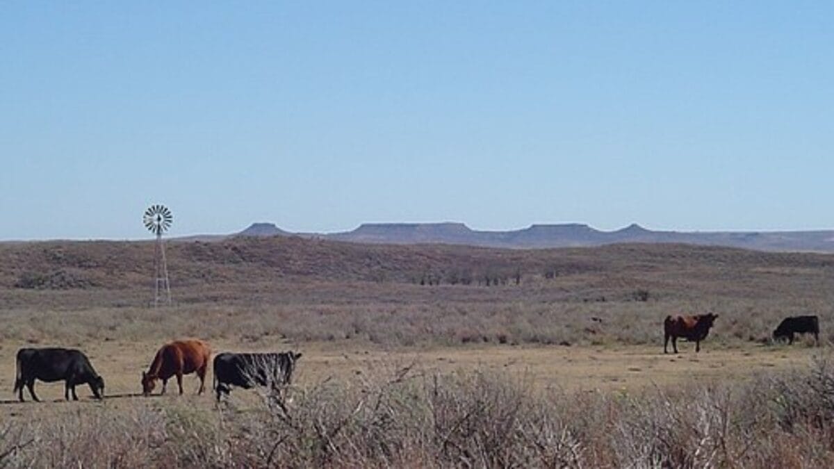 The Most Isolated, Off-the-Grid Spots in Each U.S. State You’ll Want to Visit 37 The Most Isolated, Off-the-Grid Spots in Each U.S. State You’ll Want to Visit - black kettle national forest wc