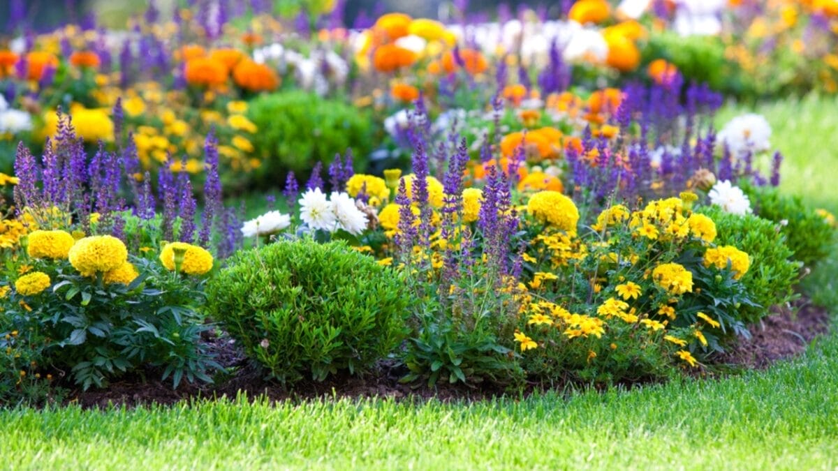 Landscaping Pros Swear by the Rule of Three—Here’s How to Apply It to Your Garden 5 Landscaping Pros Swear by the Rule of Three—Here’s How to Apply It to Your Garden - blooming garden ss57091351