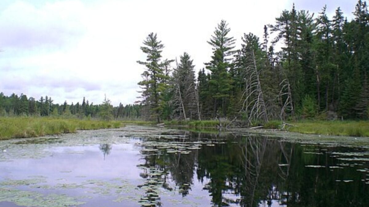 The Most Isolated, Off-the-Grid Spots in Each U.S. State You’ll Want to Visit 24 The Most Isolated, Off-the-Grid Spots in Each U.S. State You’ll Want to Visit - boundary waters wc