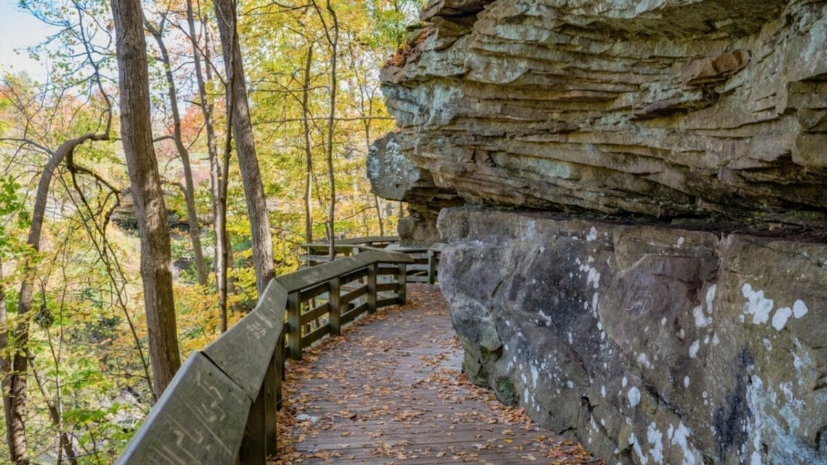 35 Dog Walking Trails That Prove USA Is a Dog's Paradise 15 35 Dog Walking Trails That Prove USA Is a Dog's Paradise - brandywine falls trail ss2142603047