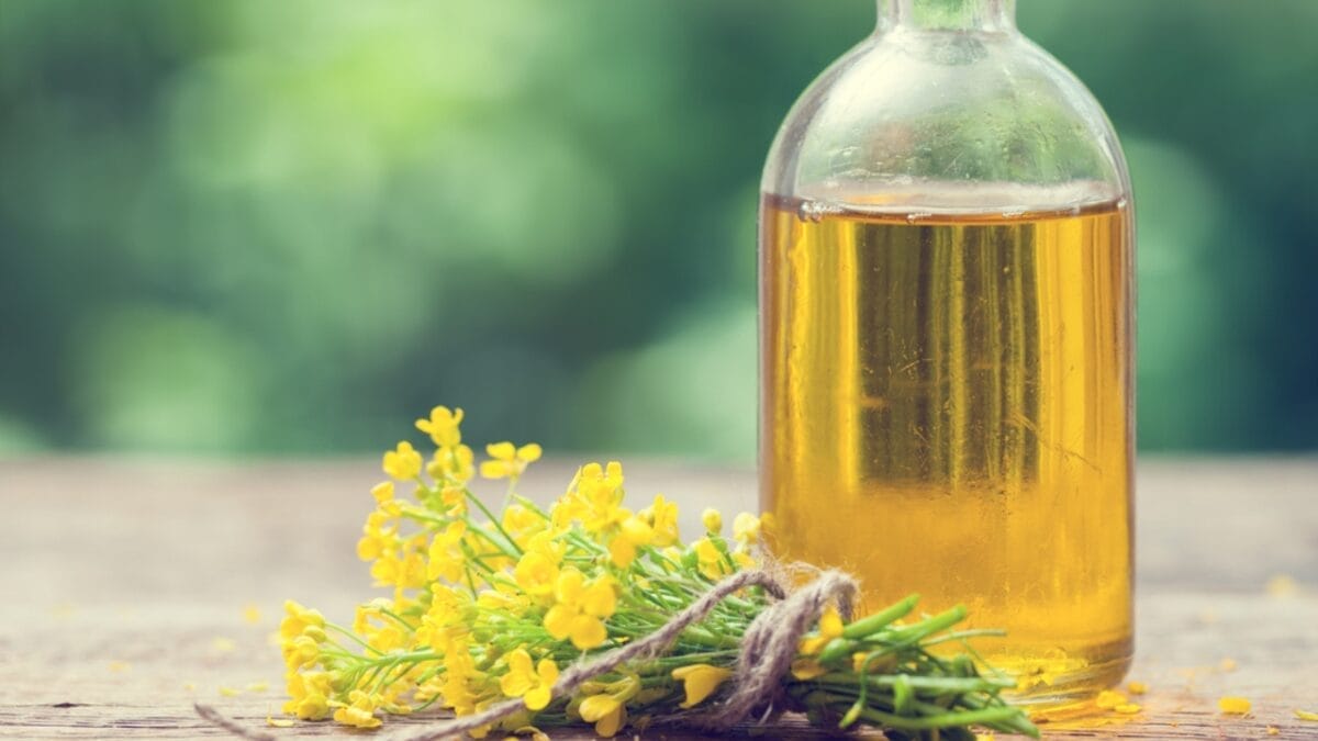 10 Must-Have Oils if You Want Juicy, Flavorful Steaks 8 10 Must-Have Oils if You Want Juicy, Flavorful Steaks - canola oil ss511396201