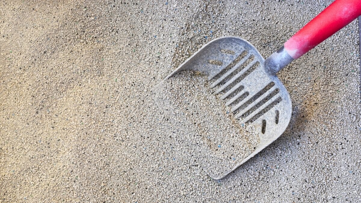 16 Foolproof Ways to Scrub Out Those Stains & Have Your Driveway Gleaming Like New 4 16 Foolproof Ways to Scrub Out Those Stains & Have Your Driveway Gleaming Like New - cat litter dp437662846