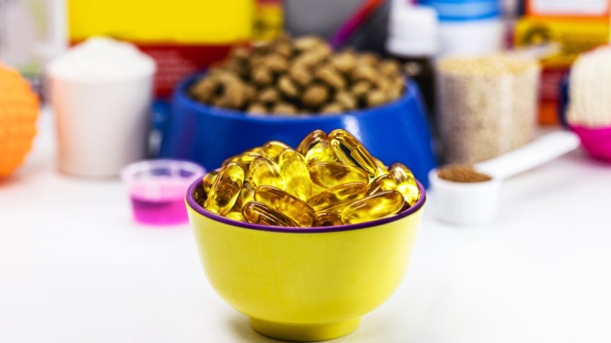 15 Ways to Calm Your Cat's Itchy & Irritated Skin 5 15 Ways to Calm Your Cat's Itchy & Irritated Skin - cat with omega fatty acid dp571930520