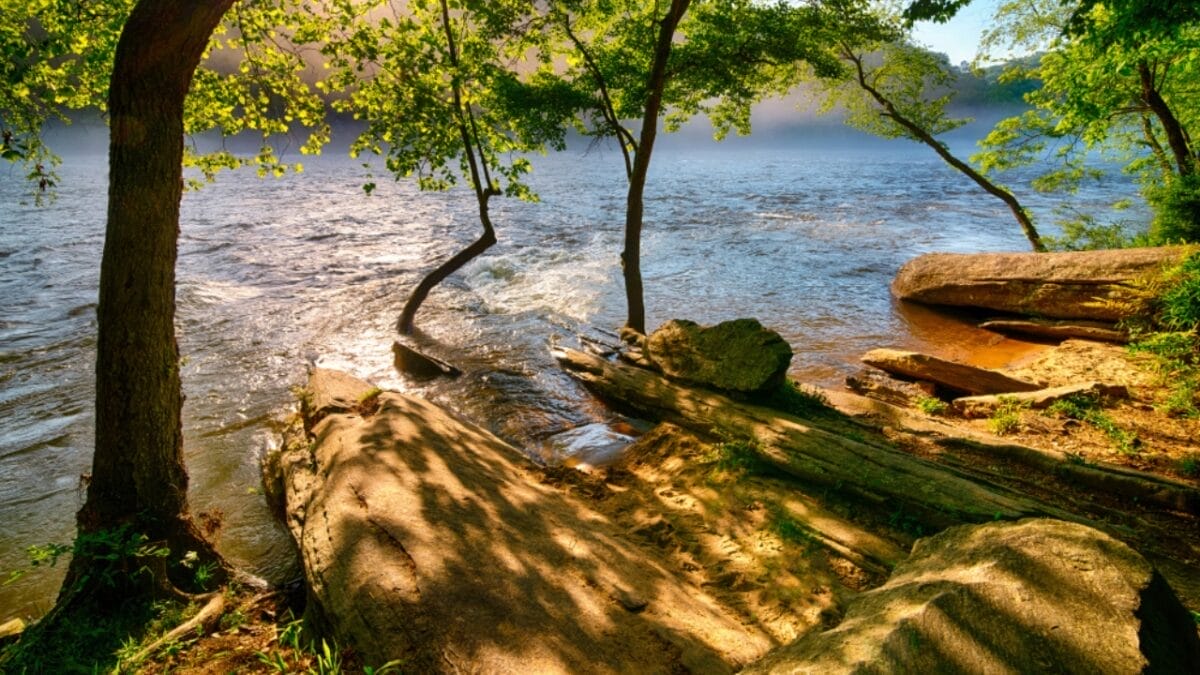 35 Dog Walking Trails That Prove USA Is a Dog's Paradise 16 35 Dog Walking Trails That Prove USA Is a Dog's Paradise - chattahoochee river georgia ss1394124377