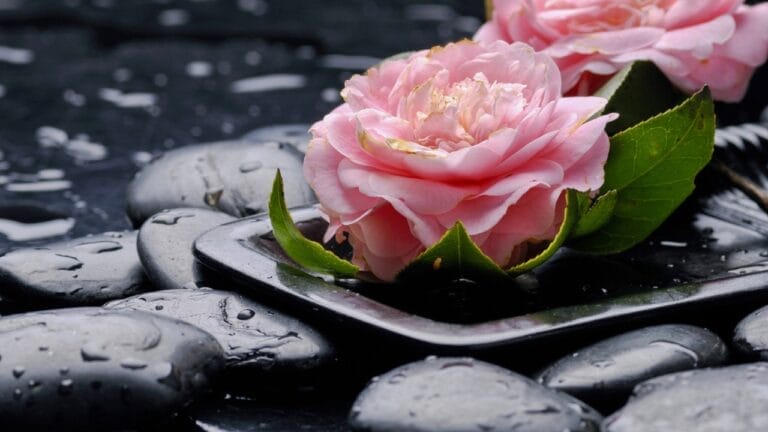 7 Stress-Busting Benefits of Worry Stones to Help Calm Your Mind - cherry blossom flower with stone ss169046702
