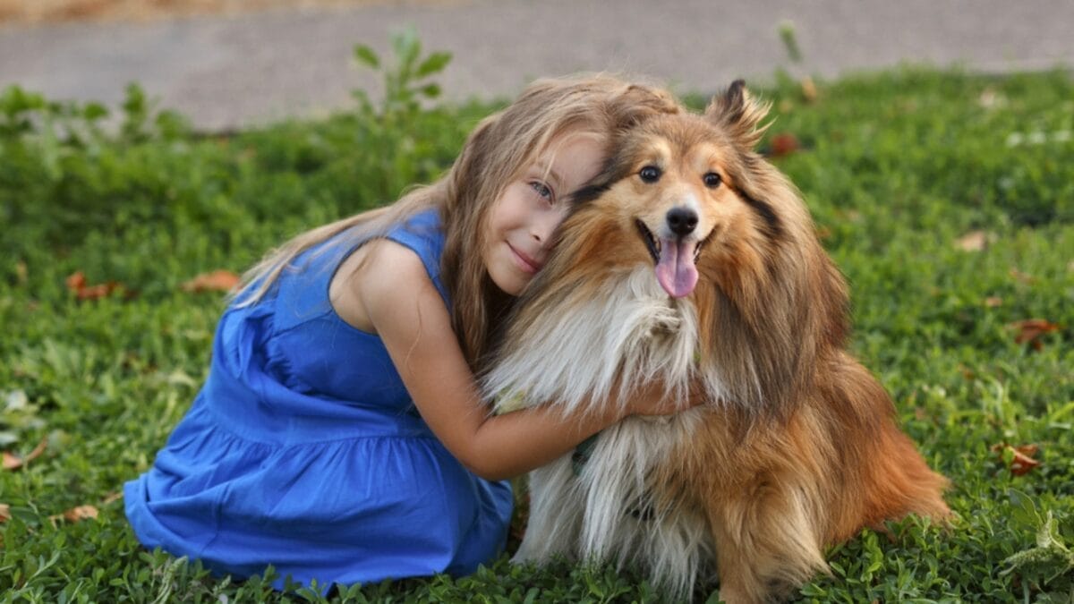 15 Dogs That Form Unbreakable Bonds with Their Humans - child hugging shetland sheepdog ss709370236