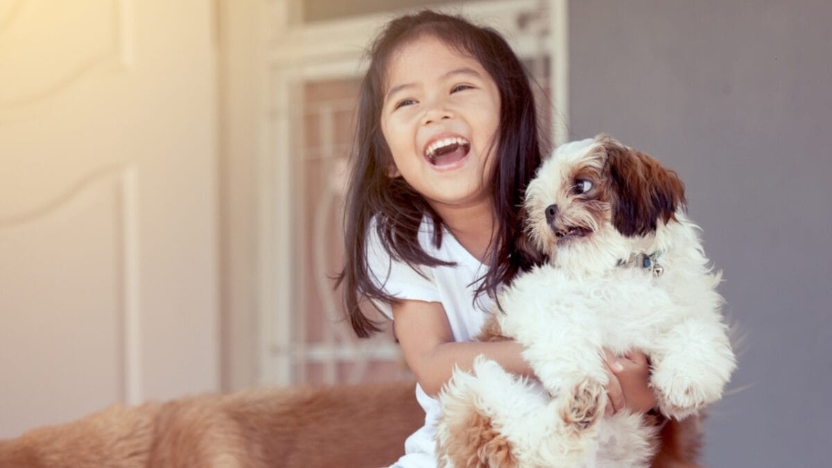 9 Shih Tzu Tips Every New Dog Parent Needs to Know 7 9 Shih Tzu Tips Every New Dog Parent Needs to Know - child hugging shih tzu dog ss646321600