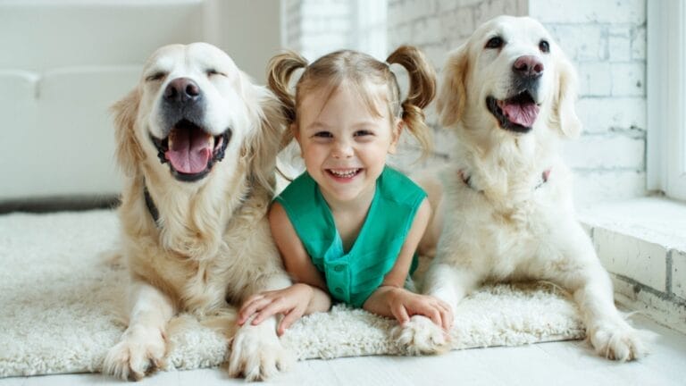 Dogs Reduce Childhood Anxiety, But Teach These Skills for Safe & Happy Interactions with Kids 7 Dogs Reduce Childhood Anxiety, But Teach These Skills for Safe & Happy Interactions with Kids - child with dog ss1492980290