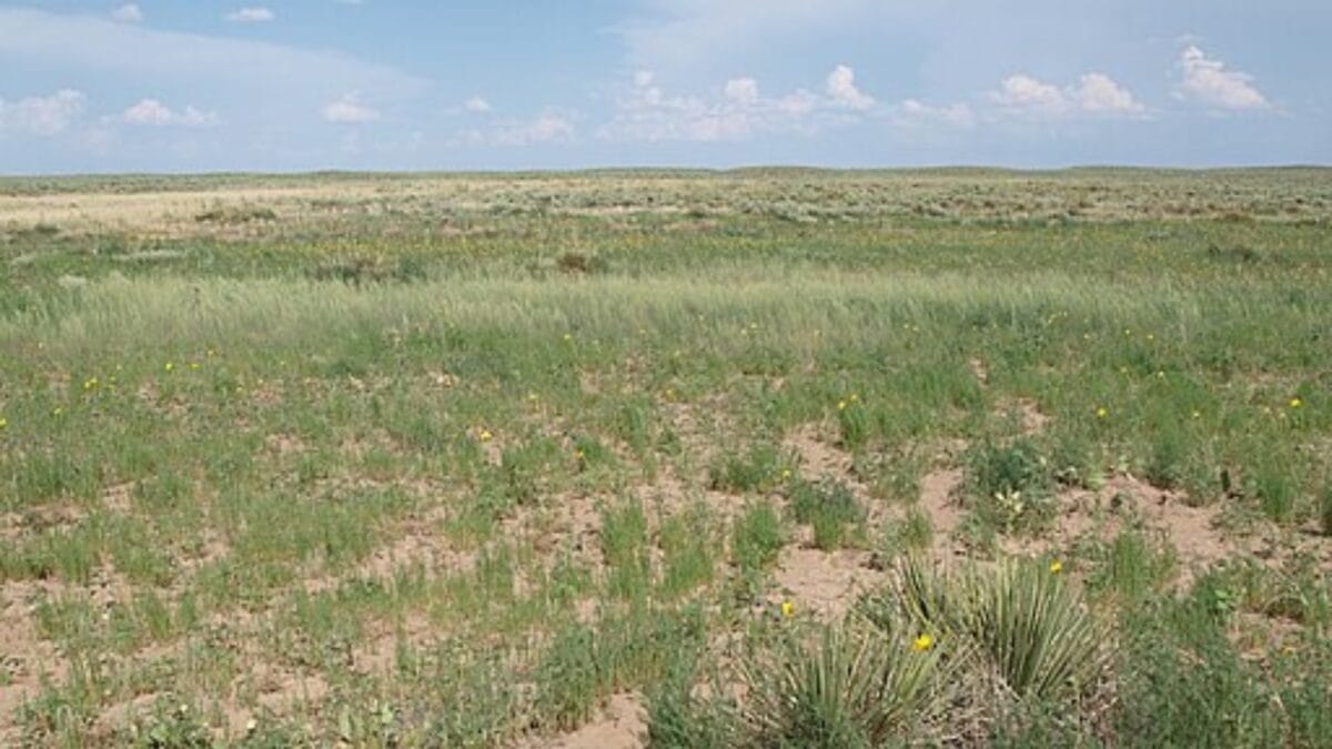 The Most Isolated, Off-the-Grid Spots in Each U.S. State You’ll Want to Visit 17 The Most Isolated, Off-the-Grid Spots in Each U.S. State You’ll Want to Visit - cimarron grassland wc