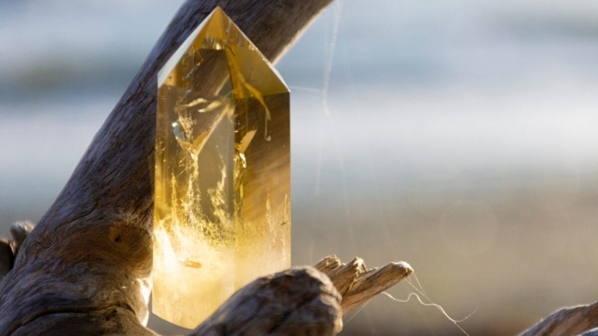 25 Most Popular Gemstones, Their Symbolism & Value 16 25 Most Popular Gemstones, Their Symbolism & Value - citrine stone on branch ss2396313289