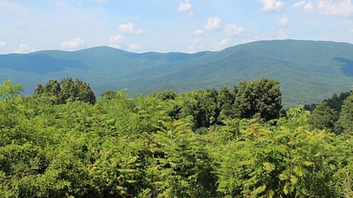 The Most Isolated, Off-the-Grid Spots in Each U.S. State You’ll Want to Visit 11 The Most Isolated, Off-the-Grid Spots in Each U.S. State You’ll Want to Visit - cohutta wilderness wc