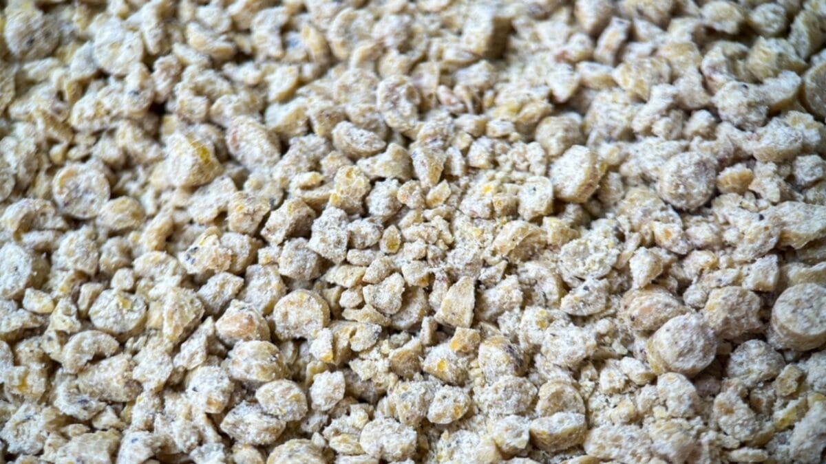 12 Weird But Effective Ways to Turn Your Garden into a Deer-Free Zone 9 12 Weird But Effective Ways to Turn Your Garden into a Deer-Free Zone - corn filler granules ss2178923537 1