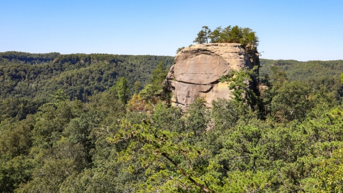 35 Dog Walking Trails That Prove USA Is a Dog's Paradise 30 35 Dog Walking Trails That Prove USA Is a Dog's Paradise - courthouse rock auxier ridge ss1836799114