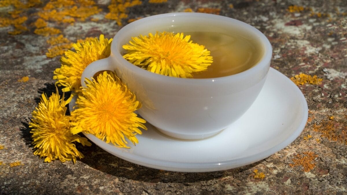 14 Energizing Coffee Alternatives to Jumpstart Your Day - dandelion root coffee ss1704354706