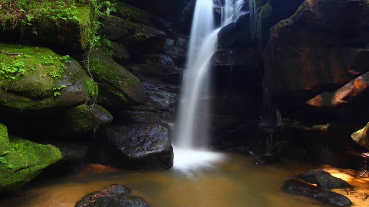 The Most Isolated, Off-the-Grid Spots in Each U.S. State You&rsquo;ll Want to Visit&nbsp; - dismals canyon alabama dp5450532