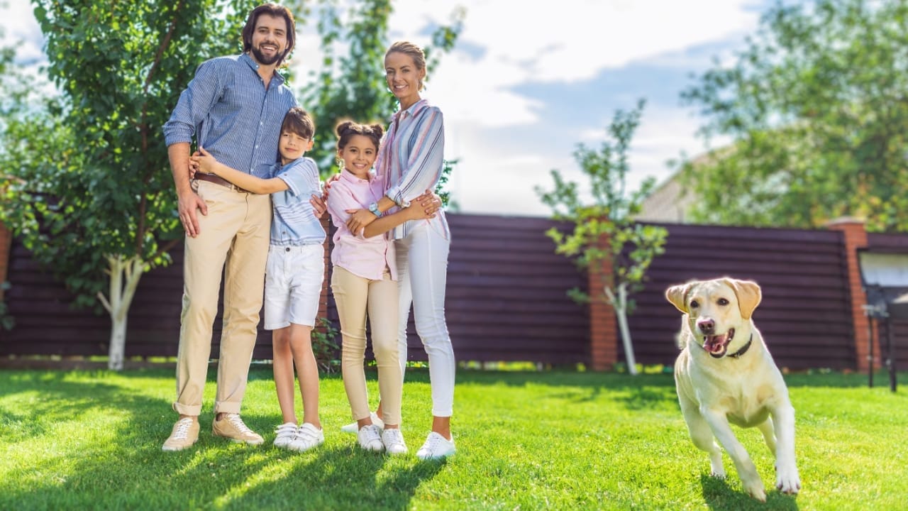 15 Dog Myths That Deserve to Be Dispelled 11 15 Dog Myths That Deserve to Be Dispelled - dog backyard lab dp202833484