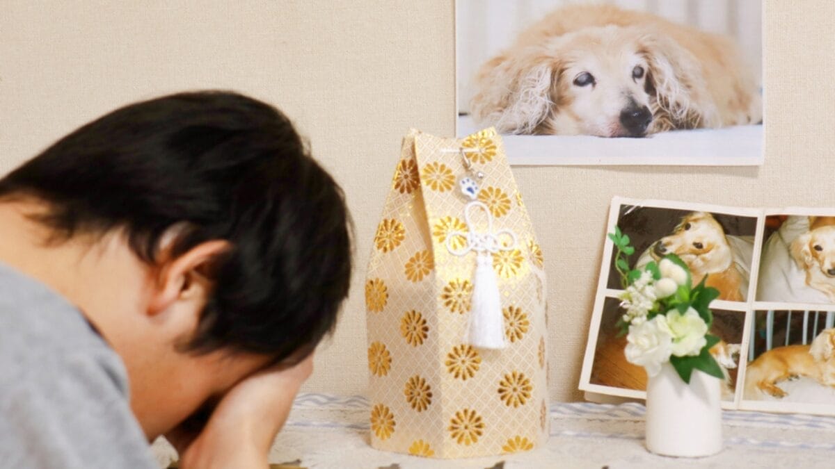 When Your Dog Dies at Home: 10 Steps Every Owner Should Know 4 When Your Dog Dies at Home: 10 Steps Every Owner Should Know - dog burial ss1891142620