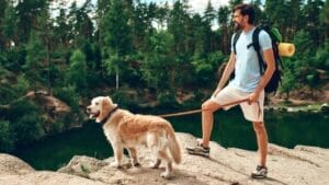 35 Dog Walking Trails That Prove USA Is a Dog's Paradise 1 35 Dog Walking Trails That Prove USA Is a Dog's Paradise - dog fitness dp514470440
