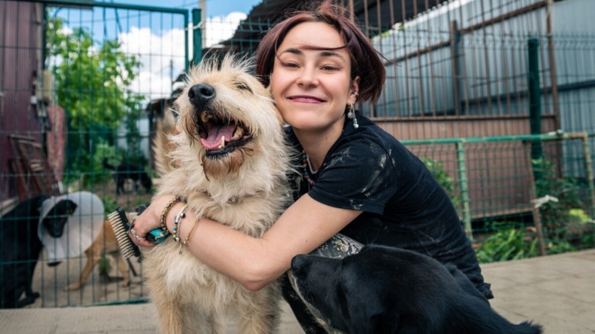 Why ‘Adopt, Don’t Shop’ Matters: 18 Reasons to Skip the Breeder 19 Why ‘Adopt, Don’t Shop’ Matters: 18 Reasons to Skip the Breeder - dog in shelter ss2170679877