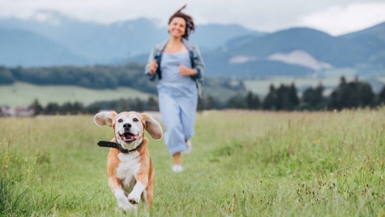 15 Breeds with a Taste for Freedom: Dogs That Love to Escape 3 15 Breeds with a Taste for Freedom: Dogs That Love to Escape - dog running with owner ss1757922455