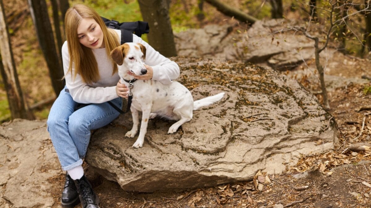 Paws on Trails: 7 Tips for Hiking with Your Dog 5 Paws on Trails: 7 Tips for Hiking with Your Dog - dog sitting dp699350624