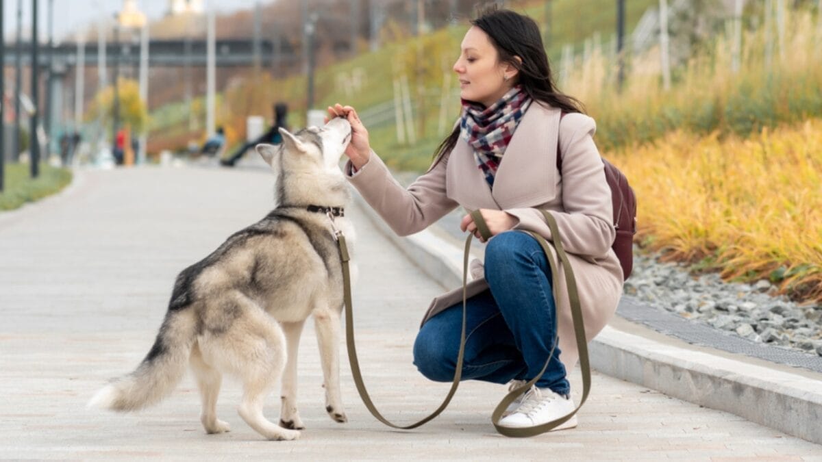 15 Common Habits Your Dog Secretly Wishes You’d Stop Doing 13 15 Common Habits Your Dog Secretly Wishes You’d Stop Doing - dog walking with treats dp520483578