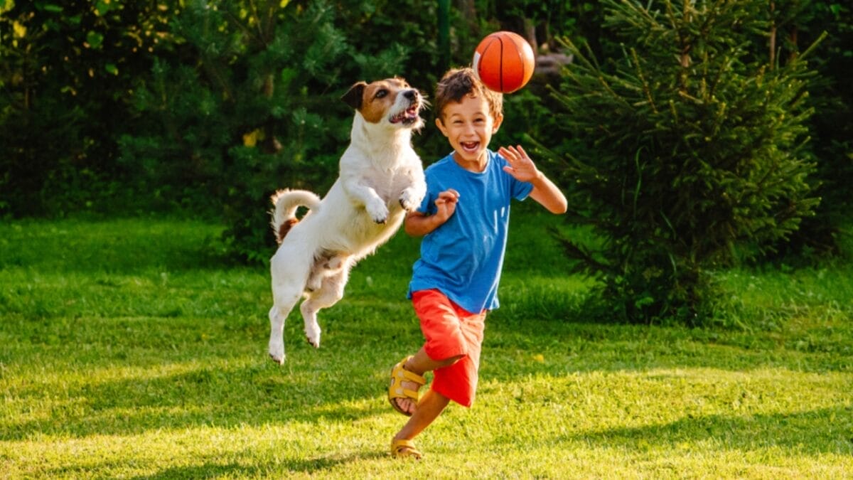 Dogs Reduce Childhood Anxiety, But Teach These Skills for Safe & Happy Interactions with Kids 13 Dogs Reduce Childhood Anxiety, But Teach These Skills for Safe & Happy Interactions with Kids - dog with kids playing ss1419914186