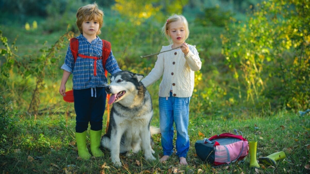 10 Things to Do Before Bringing Your Rescue Dog into Your Home - dog with kids training dp394918284