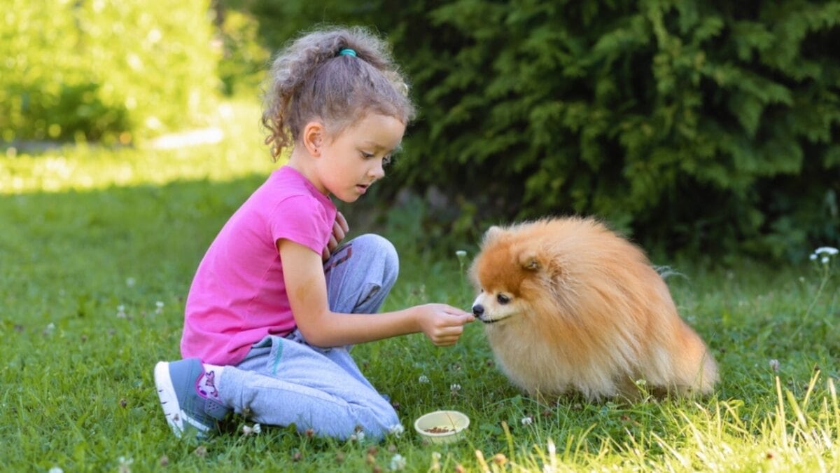 Dogs Reduce Childhood Anxiety, But Teach These Skills for Safe & Happy Interactions with Kids 11 Dogs Reduce Childhood Anxiety, But Teach These Skills for Safe & Happy Interactions with Kids - dog with kids treats ss2190532461