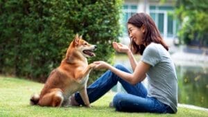 How to Build Trust & Earn Love with a Fearful Dog 1 How to Build Trust & Earn Love with a Fearful Dog - dog with owner ss1832310013