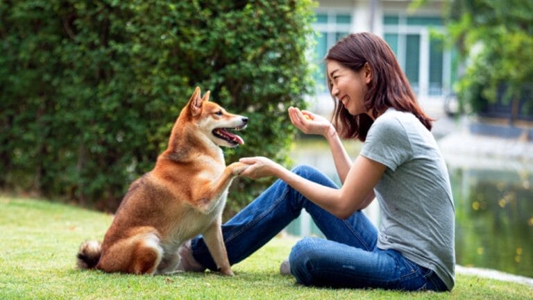 How to Build Trust & Earn Love with a Fearful Dog 7 How to Build Trust & Earn Love with a Fearful Dog - dog with owner ss1832310013