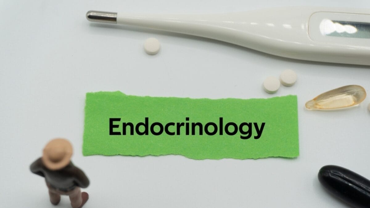 EWG’s 2024 Fruit & Veggie Dirty Dozen (Highest in Pesticides) & Clean 15 Lists 31 EWG’s 2024 Fruit & Veggie Dirty Dozen (Highest in Pesticides) & Clean 15 Lists - endocrine ss2183556983