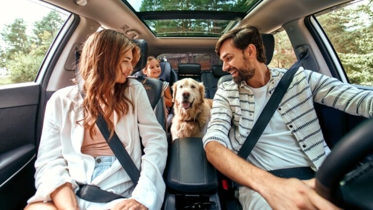 20 U.S. Dog-Friendly Attractions: Pup-Approved Adventures 9 20 U.S. Dog-Friendly Attractions: Pup-Approved Adventures - family travelling with dog ss2051440676