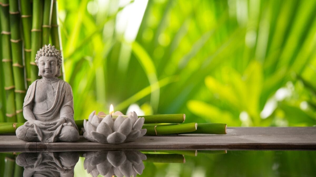 10 Ways to Unlock the Power of Feng Shui & Transform Your Home Into a Haven - feng shui ss297636071