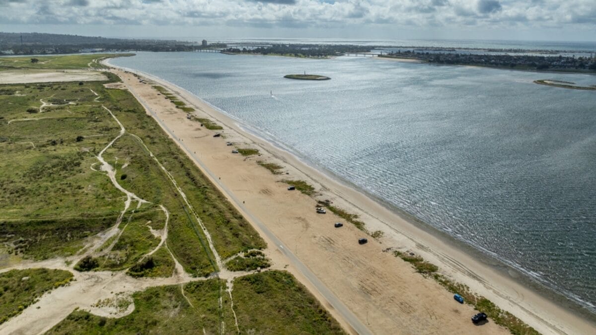 20 U.S. Dog-Friendly Attractions: Pup-Approved Adventures 7 20 U.S. Dog-Friendly Attractions: Pup-Approved Adventures - fiesta island dp717654440