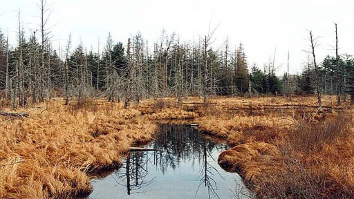 The Most Isolated, Off-the-Grid Spots in Each U.S. State You’ll Want to Visit 33 The Most Isolated, Off-the-Grid Spots in Each U.S. State You’ll Want to Visit - five ponds new york wc