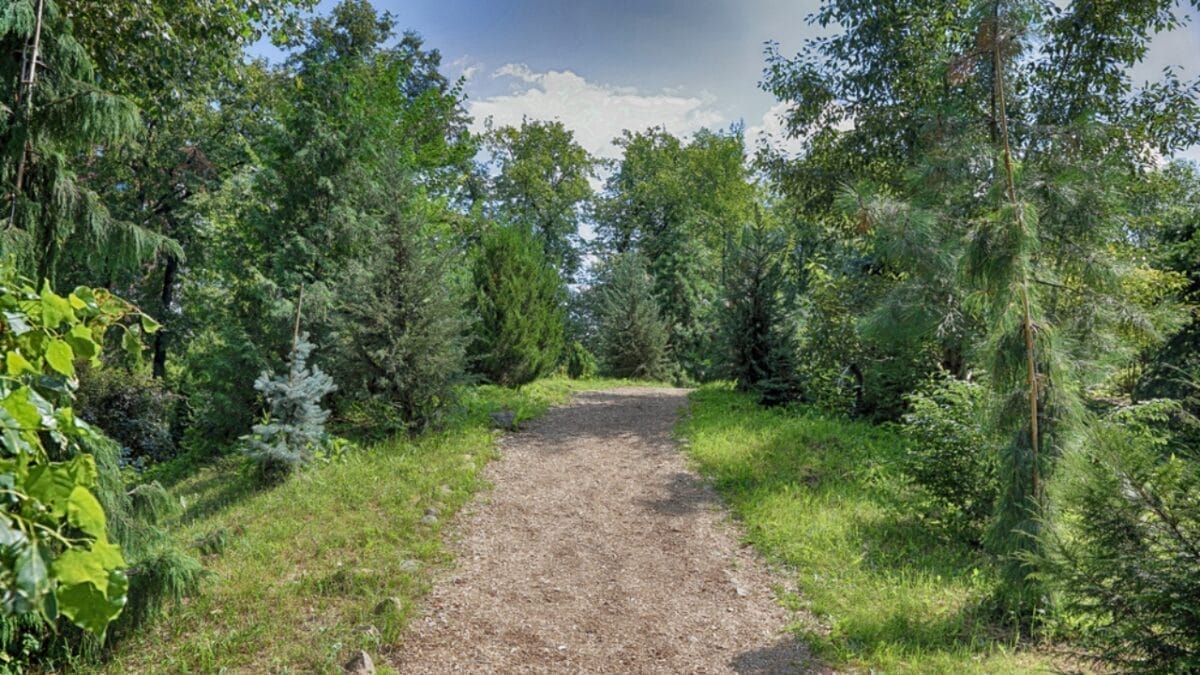 20 U.S. Dog-Friendly Attractions: Pup-Approved Adventures 6 20 U.S. Dog-Friendly Attractions: Pup-Approved Adventures - flag staff urban trails dp119023028