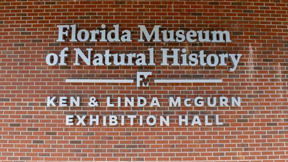North America's Only Porcupines: Insights from a Recent Fossil Discovery 4 North America's Only Porcupines: Insights from a Recent Fossil Discovery - florida museum of natural history ss2473536973