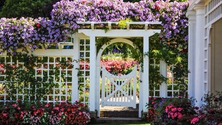 Front Yard Upgrades: 25 Simple Landscaping Ideas That Add Value - garden white fence with gate and blooming flowers ss365779613
