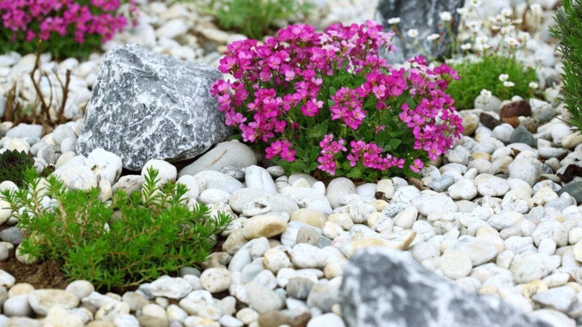 14 Easy & Creative DIY Ideas for a Beautiful Yard 4 14 Easy & Creative DIY Ideas for a Beautiful Yard - garden with rocks dp5397650