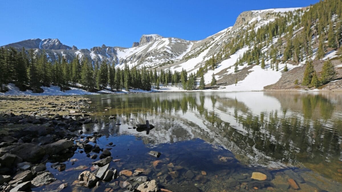 Why National Parks Are America’s Greatest Living Gardens 3 Why National Parks Are America’s Greatest Living Gardens - great basin national park dp516086634