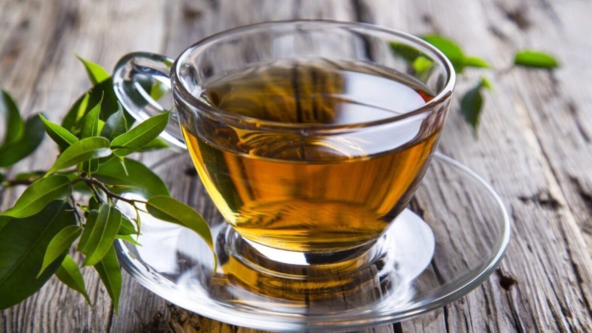 Say Goodbye to Brain Fog with These 13 Herbs 14 Say Goodbye to Brain Fog with These 13 Herbs - green tea dp40984715