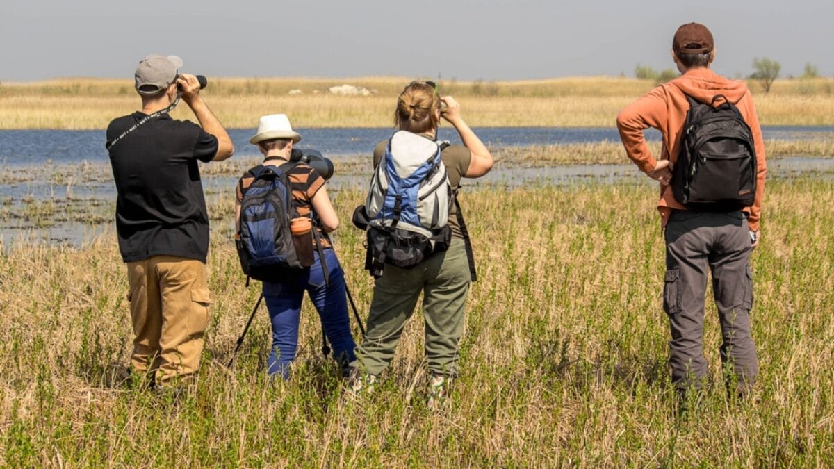 10 Powerful Ways Nature Enhances Your Mental Health 9 10 Powerful Ways Nature Enhances Your Mental Health - group of people birdwatching dp195005070