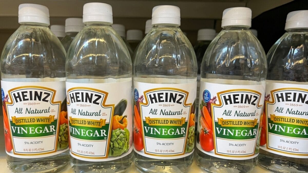 Vanilla is the New Secret Weapon Against Mosquitoes & 4 Backups - heinz white vinegar ss2274010787