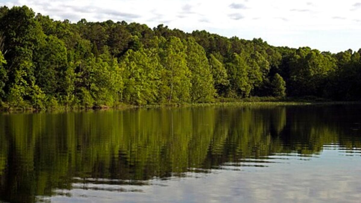 The Most Isolated, Off-the-Grid Spots in Each U.S. State You’ll Want to Visit 15 The Most Isolated, Off-the-Grid Spots in Each U.S. State You’ll Want to Visit - hoosier national forest wc