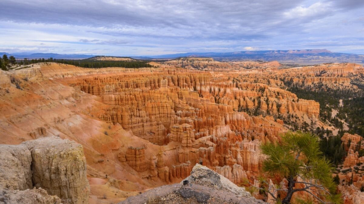 20 U.S. Dog-Friendly Attractions: Pup-Approved Adventures 20 20 U.S. Dog-Friendly Attractions: Pup-Approved Adventures - inspiration point dp386391894