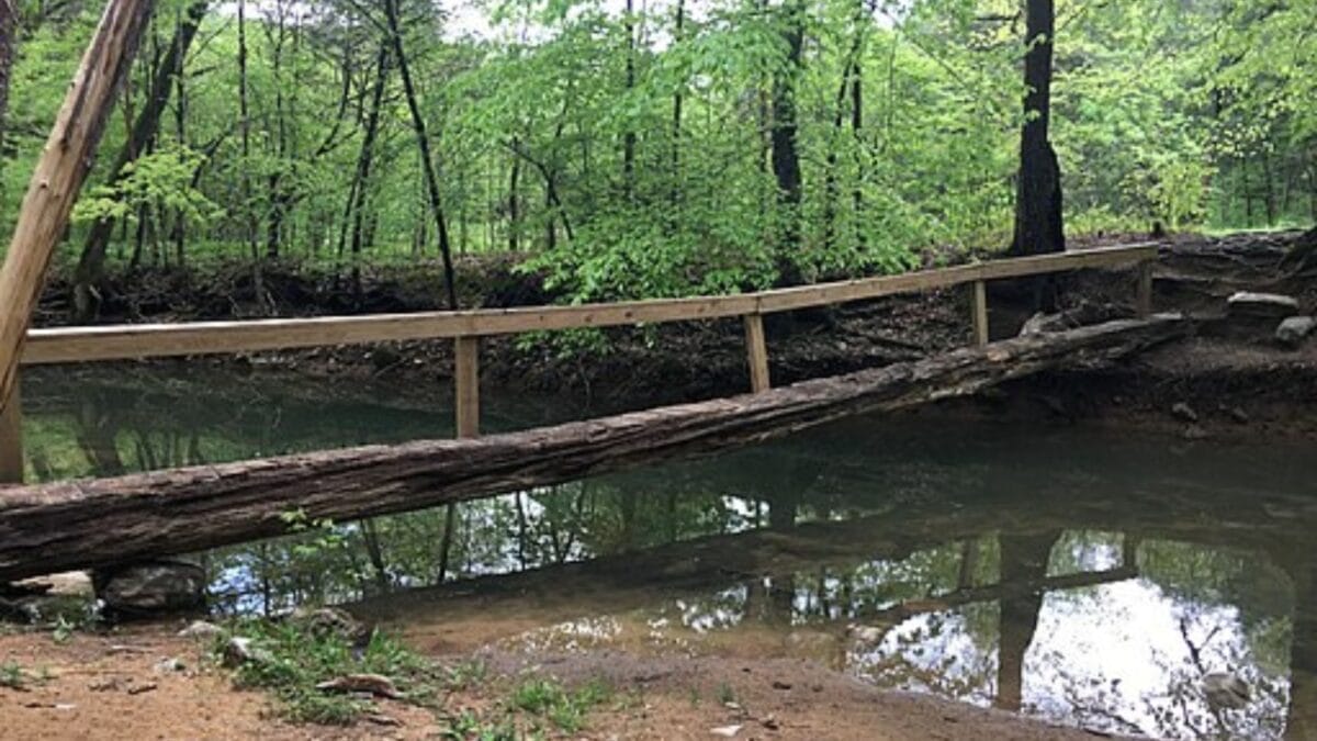 35 Dog Walking Trails That Prove USA Is a Dog's Paradise 5 35 Dog Walking Trails That Prove USA Is a Dog's Paradise - jericho trail wc